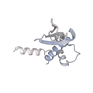 27427_8dgj_N_v1-0
Structural Basis of MicroRNA Biogenesis by Dicer-1 and Its Partner Protein Loqs-PB - complex Ib