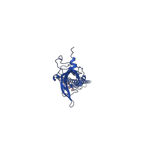 7882_6dg7_A_v1-2
Full-length 5-HT3A receptor in a serotonin-bound conformation- State 1