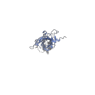 7883_6dg8_B_v1-2
Full-length 5-HT3A receptor in a serotonin-bound conformation- State 2
