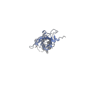 7883_6dg8_B_v2-0
Full-length 5-HT3A receptor in a serotonin-bound conformation- State 2