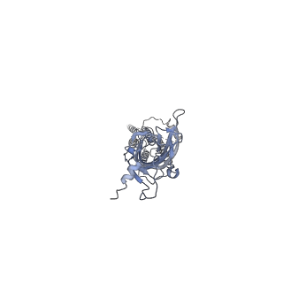 7883_6dg8_D_v1-2
Full-length 5-HT3A receptor in a serotonin-bound conformation- State 2