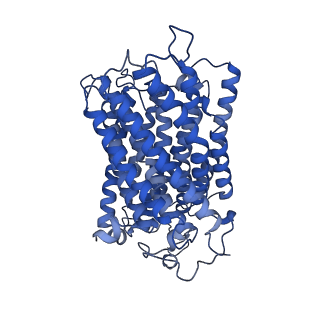 27430_8dh6_a_v1-1
Cryo-EM structure of Saccharomyces cerevisiae cytochrome c oxidase (Complex IV) extracted in lipid nanodiscs