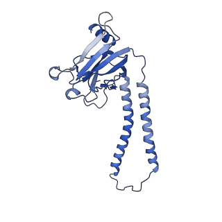 27430_8dh6_b_v1-0
Cryo-EM structure of Saccharomyces cerevisiae cytochrome c oxidase (Complex IV) extracted in lipid nanodiscs