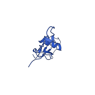 27430_8dh6_d_v1-1
Cryo-EM structure of Saccharomyces cerevisiae cytochrome c oxidase (Complex IV) extracted in lipid nanodiscs