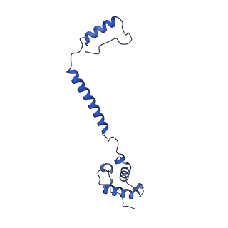 27430_8dh6_e_v1-0
Cryo-EM structure of Saccharomyces cerevisiae cytochrome c oxidase (Complex IV) extracted in lipid nanodiscs