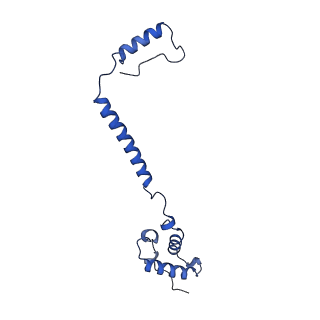 27430_8dh6_e_v1-1
Cryo-EM structure of Saccharomyces cerevisiae cytochrome c oxidase (Complex IV) extracted in lipid nanodiscs