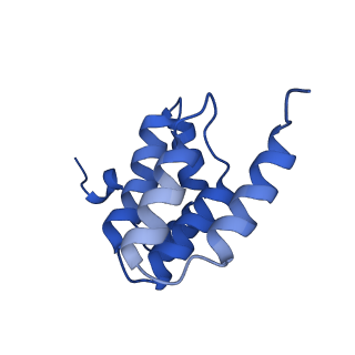 27430_8dh6_f_v1-0
Cryo-EM structure of Saccharomyces cerevisiae cytochrome c oxidase (Complex IV) extracted in lipid nanodiscs