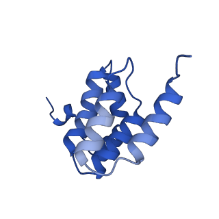 27430_8dh6_f_v1-1
Cryo-EM structure of Saccharomyces cerevisiae cytochrome c oxidase (Complex IV) extracted in lipid nanodiscs