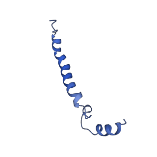 27430_8dh6_g_v1-1
Cryo-EM structure of Saccharomyces cerevisiae cytochrome c oxidase (Complex IV) extracted in lipid nanodiscs