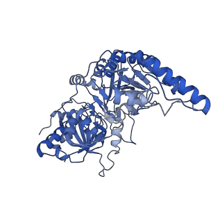 27431_8dh7_A_v1-0
Cryo-EM structure of Saccharomyces cerevisiae Succinyl-CoA:acetate CoA-transferase (Ach1p)