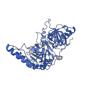 27431_8dh7_B_v1-0
Cryo-EM structure of Saccharomyces cerevisiae Succinyl-CoA:acetate CoA-transferase (Ach1p)