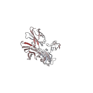 27433_8dh9_A_v1-0
Leptin-bound leptin receptor complex-D3-D7