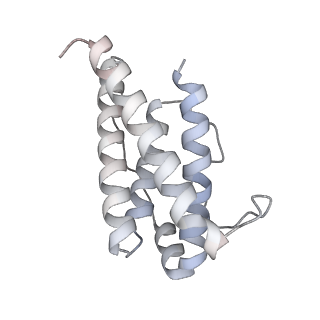 27433_8dh9_C_v1-0
Leptin-bound leptin receptor complex-D3-D7