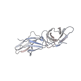 27434_8dha_B_v1-0
Leptin-bound leptin receptor complex- focused interaction