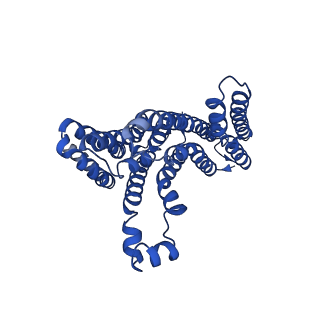 27436_8dhm_A_v1-0
Human TMEM175 in complex with 4-aminopyridine