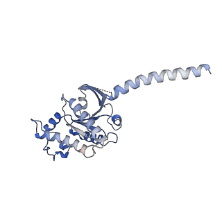30678_7dh5_A_v1-1
Dog beta3 adrenergic receptor bound to mirabegron in complex with a miniGs heterotrimer