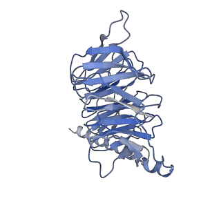 30678_7dh5_B_v1-1
Dog beta3 adrenergic receptor bound to mirabegron in complex with a miniGs heterotrimer