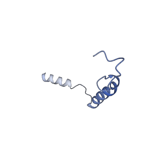 30678_7dh5_G_v1-1
Dog beta3 adrenergic receptor bound to mirabegron in complex with a miniGs heterotrimer