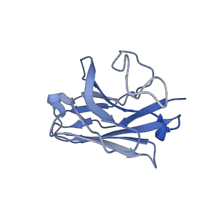 30678_7dh5_N_v1-1
Dog beta3 adrenergic receptor bound to mirabegron in complex with a miniGs heterotrimer