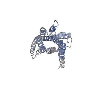 30678_7dh5_R_v1-1
Dog beta3 adrenergic receptor bound to mirabegron in complex with a miniGs heterotrimer