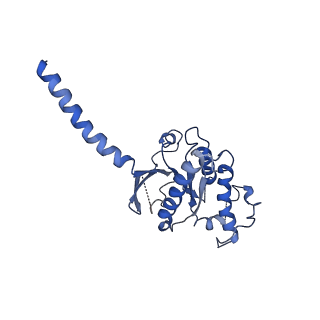 30681_7dhi_A_v1-0
Cryo-EM structure of the partial agonist salbutamol-bound beta2 adrenergic receptor-Gs protein complex.