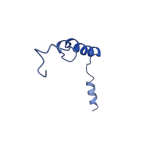 30681_7dhi_G_v1-0
Cryo-EM structure of the partial agonist salbutamol-bound beta2 adrenergic receptor-Gs protein complex.