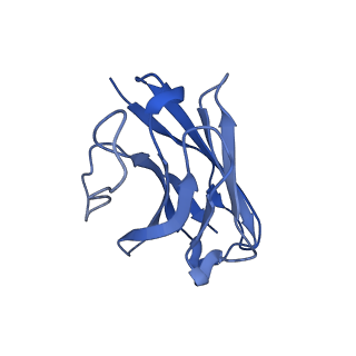 30681_7dhi_N_v1-0
Cryo-EM structure of the partial agonist salbutamol-bound beta2 adrenergic receptor-Gs protein complex.