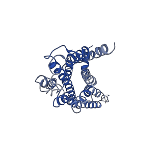 30681_7dhi_R_v1-0
Cryo-EM structure of the partial agonist salbutamol-bound beta2 adrenergic receptor-Gs protein complex.