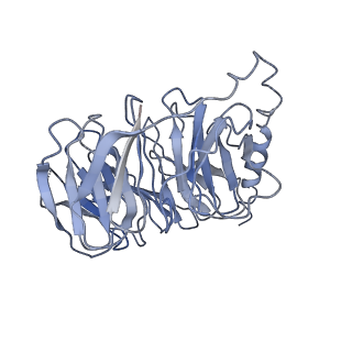 30682_7dhr_B_v1-0
Cryo-EM structure of the full agonist isoprenaline-bound beta2 adrenergic receptor-Gs protein complex.