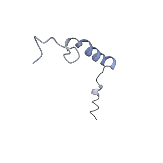 30682_7dhr_G_v1-0
Cryo-EM structure of the full agonist isoprenaline-bound beta2 adrenergic receptor-Gs protein complex.