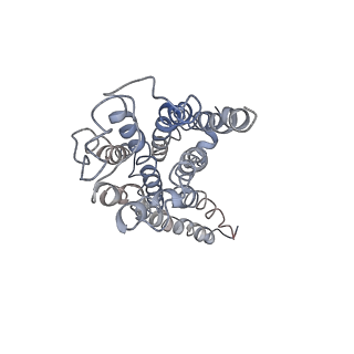 30682_7dhr_R_v1-0
Cryo-EM structure of the full agonist isoprenaline-bound beta2 adrenergic receptor-Gs protein complex.