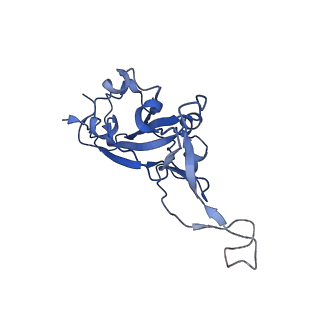 27439_8di5_C_v1-0
Cryo-EM structure of SARS-CoV-2 Beta (B.1.351) spike protein in complex with VH domain F6 (focused refinement of RBD and VH F6)