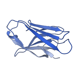 27440_8dim_B_v1-0
CryoEM structure of Influenza A virus A/Ohio/09/2015 hemagglutinin bound to CR6261 Fab