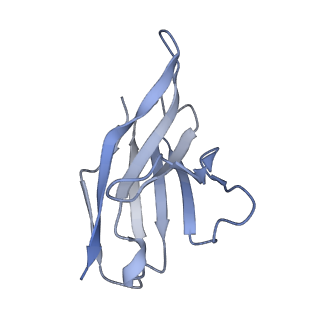 27440_8dim_C_v1-0
CryoEM structure of Influenza A virus A/Ohio/09/2015 hemagglutinin bound to CR6261 Fab