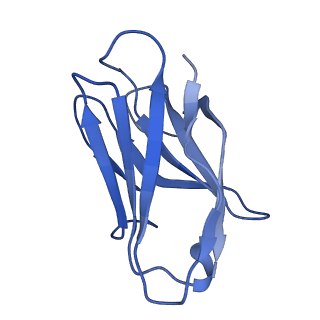 27440_8dim_E_v1-0
CryoEM structure of Influenza A virus A/Ohio/09/2015 hemagglutinin bound to CR6261 Fab