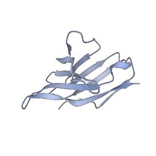 27440_8dim_F_v1-0
CryoEM structure of Influenza A virus A/Ohio/09/2015 hemagglutinin bound to CR6261 Fab