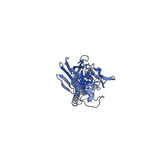 27440_8dim_G_v1-0
CryoEM structure of Influenza A virus A/Ohio/09/2015 hemagglutinin bound to CR6261 Fab
