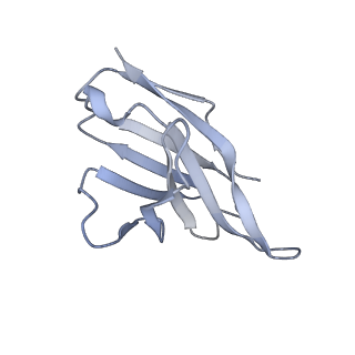 27440_8dim_I_v1-0
CryoEM structure of Influenza A virus A/Ohio/09/2015 hemagglutinin bound to CR6261 Fab