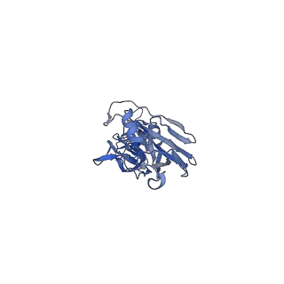 27441_8dis_D_v1-0
CryoEM structure of Influenza A virus A/Melbourne/1/1946 (H1N1) hemagglutinin bound to CR6261 Fab