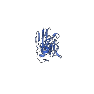 27441_8dis_E_v1-0
CryoEM structure of Influenza A virus A/Melbourne/1/1946 (H1N1) hemagglutinin bound to CR6261 Fab
