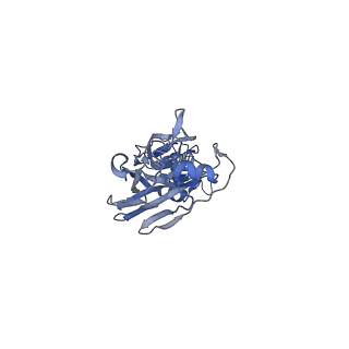 27441_8dis_F_v1-0
CryoEM structure of Influenza A virus A/Melbourne/1/1946 (H1N1) hemagglutinin bound to CR6261 Fab