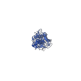 27443_8diu_A_v1-0
Cryo-EM structure of influenza A virus A/Bayern/7/1995 hemagglutinin bound to CR6261 Fab