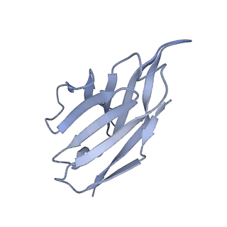 27443_8diu_F_v1-0
Cryo-EM structure of influenza A virus A/Bayern/7/1995 hemagglutinin bound to CR6261 Fab