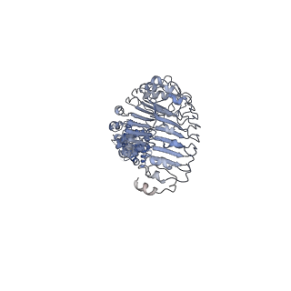 7935_6djb_A_v1-3
Structure of human Volume Regulated Anion Channel composed of SWELL1 (LRRC8A)