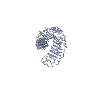 7935_6djb_B_v1-3
Structure of human Volume Regulated Anion Channel composed of SWELL1 (LRRC8A)