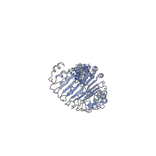 7935_6djb_C_v1-3
Structure of human Volume Regulated Anion Channel composed of SWELL1 (LRRC8A)