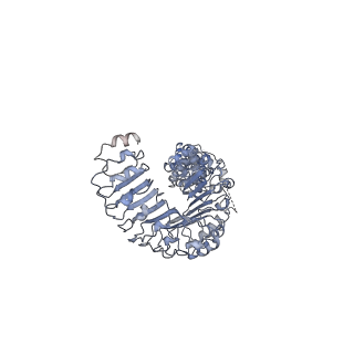 7935_6djb_D_v1-3
Structure of human Volume Regulated Anion Channel composed of SWELL1 (LRRC8A)