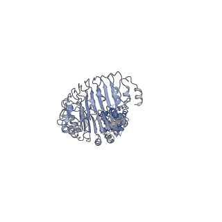 7935_6djb_E_v1-3
Structure of human Volume Regulated Anion Channel composed of SWELL1 (LRRC8A)