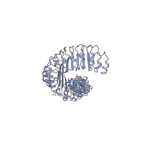 7935_6djb_F_v1-3
Structure of human Volume Regulated Anion Channel composed of SWELL1 (LRRC8A)