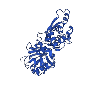 7936_6djm_A_v1-2
Cryo-EM structure of AMPPNP-actin filaments